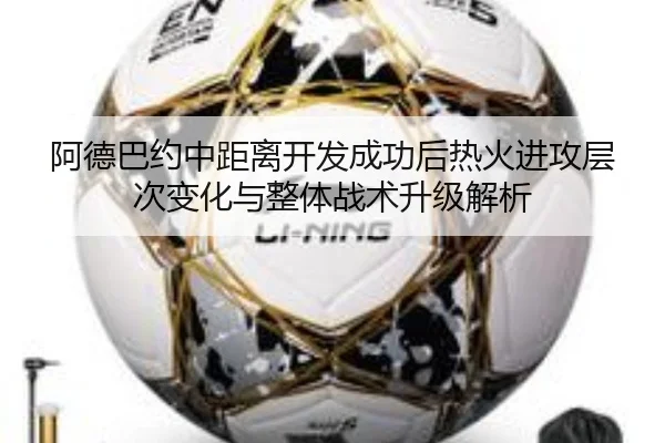 阿德巴约中距离开发成功后热火进攻层次变化与整体战术升级解析 - leyu