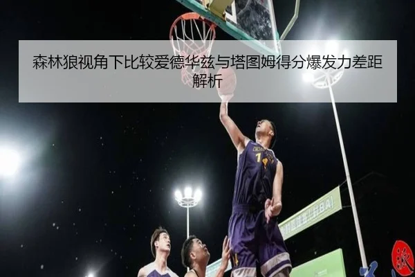 森林狼视角下比较爱德华兹与塔图姆得分爆发力差距解析 - leyu